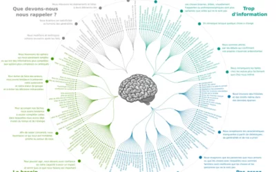 Gros plan sur les Biais Cognitifs